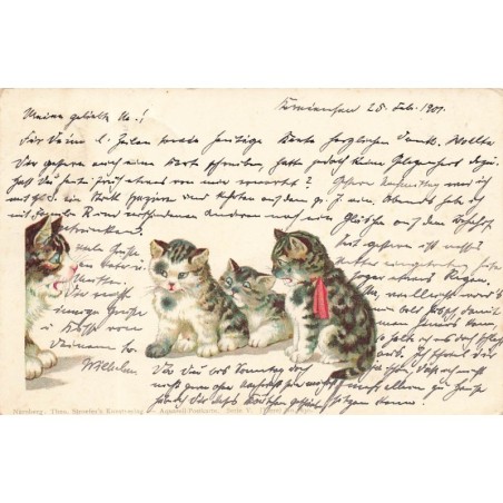 n°28200 - Animaux - Chat - Stroefer's - Chatons écoutant leur maman