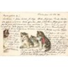 n°28200 - Animaux - Chat - Stroefer's - Chatons écoutant leur maman