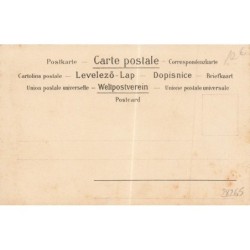n°28265 - Fantaisie - Art Nouveau -Juli - Coq -Tête de Lion