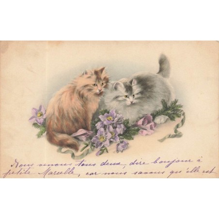 n°28349 - MM Vienne n°649 - Chats au milieu de fleurs