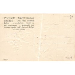 n°28398 - Carte Gaufrée - n°292/3 - Jeune fille câlinant des chats, près d'un garçon tenant un chien
