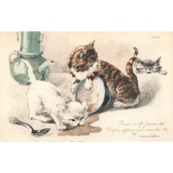 n°28400 - Animaux - Chats...