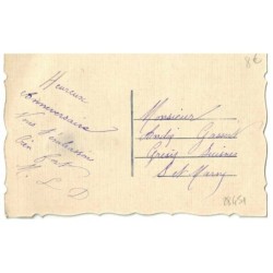 n°28451 - Fantaisie - Chat noir en feutrine, portant un panier rempli de myosothis