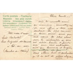 n°28534 - Carte Gaufrée - Fantaisie - Souvenir - Garçon jouant de la mandoline pour des oiseaux