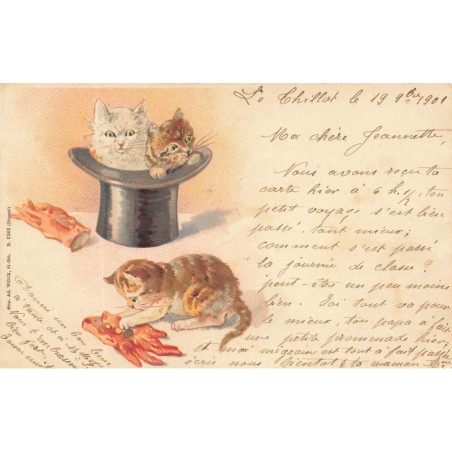 n°28543 - Weick - Chat - Chatons jouant avec un haut de forme et des gants