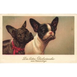 n°28544 - Chien - Die...