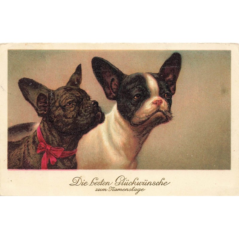 n°28544 - Chien - Die besten Glückwünsche zum Namenstage - Deux bouledogues français