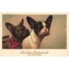 n°28544 - Chien - Die besten Glückwünsche zum Namenstage - Deux bouledogues français