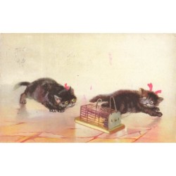 n°28560 - Animaux - Chats -...