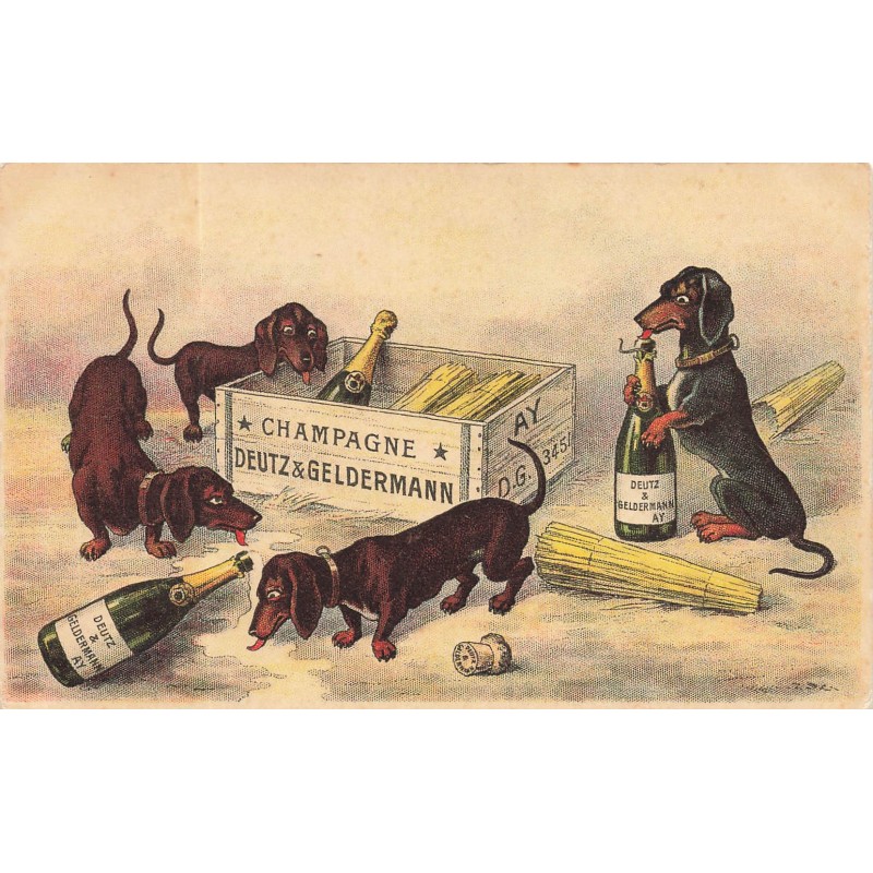 n°28561 - Animaux - Chiens - Teckels buvant du champagne Deutz & Geldermann