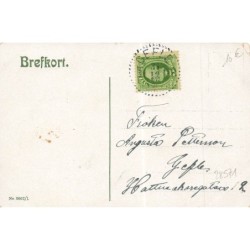 n°28571 - Nouvel An - Godt nytt Ar- Lutins apportant des fleurs, et un champignon