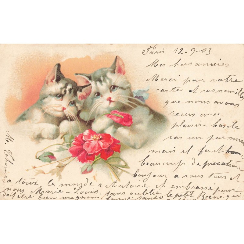 n°28646 - Carte Gaufrée - Animaux - Chat - Deux chats avec des fleurs