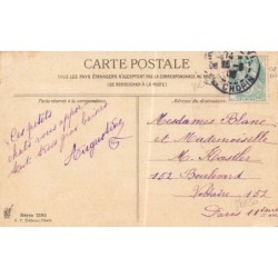 n°28650 - Animaux - Serie 1350 - Chats préparant leurs valises