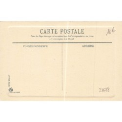 n°28688 - Animaux - Chien - Bouledogue Français portant une médaille sur son collier