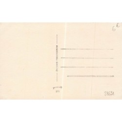 n°28691 - Chat blanc angora, portant un gros noeud noir