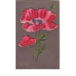 n°13478 - Coquelicots en...