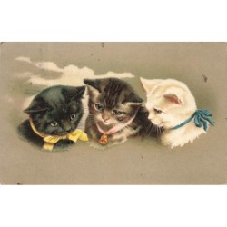 n°28693 - Animaux - Trois...