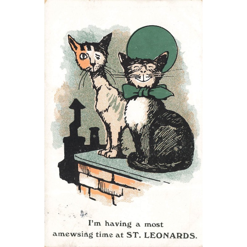 n°28694 - Chat - I'm having a most amewsing time ar St. Leonards - Chats sur des toits
