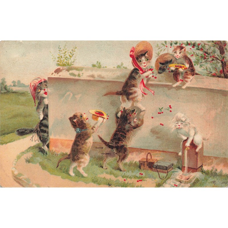 n°28732 - Illustrateur Boulanger - Chats cueillant des cerises- Chats Humanisés