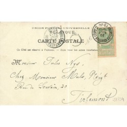 n°28734 - Fantaisie - Animaux habillés - Chat jouant du violoncelle