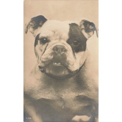 n°28740 - Animaux - Chien -...