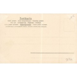 n°28744 - Fantaisie - Portrait d'une fillette au milieu d'un oeillet - surréalisme