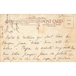 n°28762 - Illustrateur L. Wain - A slight Indisposition - chien