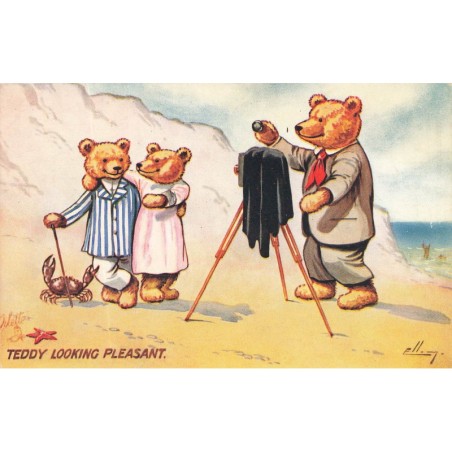 n°28763 - Illustrateur Ellam - Teddy Looking Pleaseant - Ours photographiant un couple d'ours