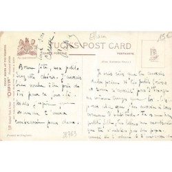 n°28763 - Illustrateur Ellam - Teddy Looking Pleaseant - Ours photographiant un couple d'ours