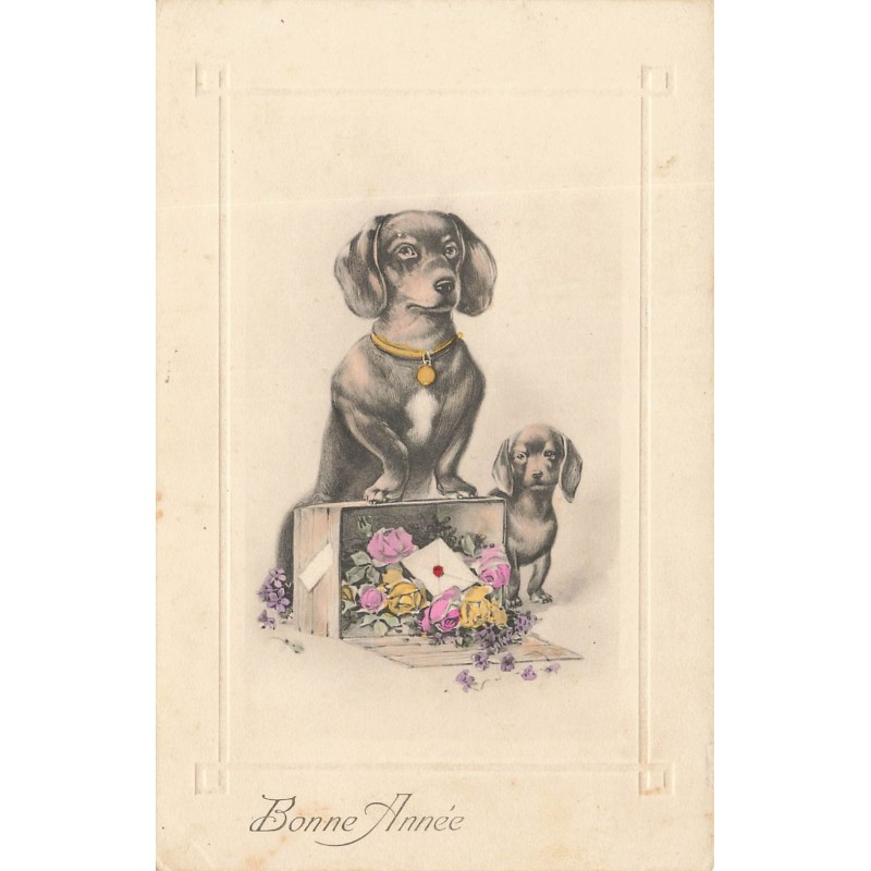n°28794 - Chien - Bonne Année - Teckels près d'une boite contenant des fleurs - dackel