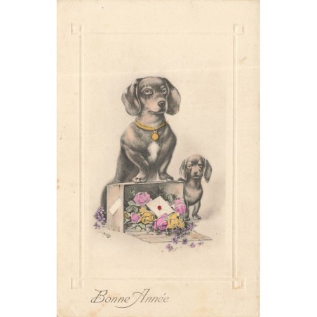 n°28794 - Chien - Bonne Année - Teckels près d'une boite contenant des fleurs - dackel