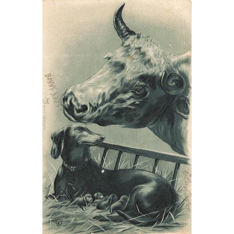 n°28795 - Carte Gaufrée - Chien - Vache reniflant une teckel et ses petits