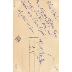 n°28800 - Manon Iessel - Chat portant du gui - Bonne Année