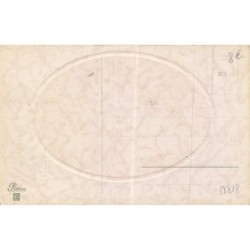 n°28818 - Nouvel An - Bonne Année - Chats jouant avec une branche de sapin