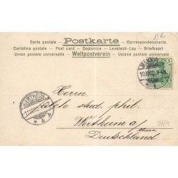 n°28834 - Fantaisie - Jeune femme buvant, au milieu de grappe de raisin - vin