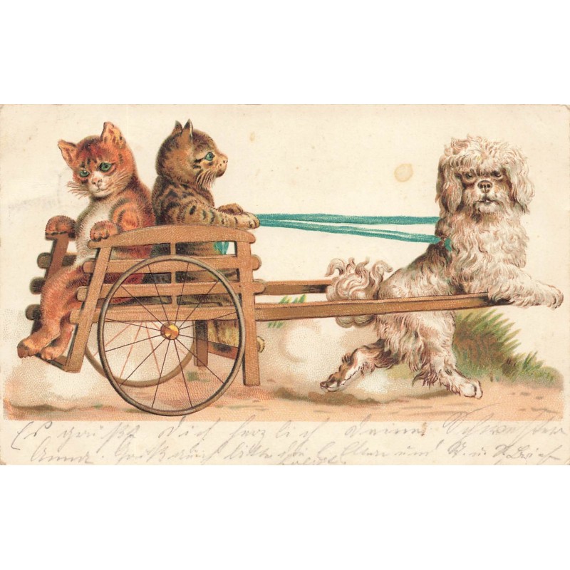 n°28844 - Carte Gaufrée - Chats dans une charette tirée par un caniche