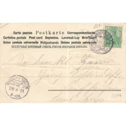 n°28844 - Carte Gaufrée - Chats dans une charette tirée par un caniche