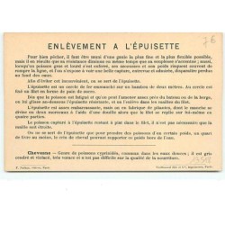 n°13518 - Pêche d'Eau Douce - Enlèvement à l'Epuisette (Chevesnes)