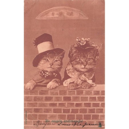 n°28900 - Fantaisie - Animaux habillés - Un couple endimanché - Chats - Cat