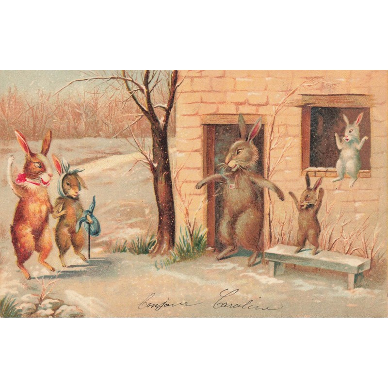 n°28914 - Illustrateur - M. Boulanger - Lapins rendant visité à d'autres lapins