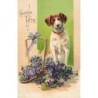 n°28989 - Carte Gaufrée - Heureuse Fête - Chien près d'un panier rempli de violettes