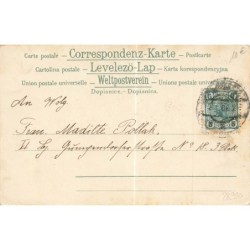 n°28990 - Fantaisie - Jeune femme debout sur une luge tirée par des cochons