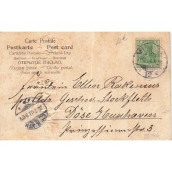 n°29046 - Carte Gaufrée - Animaux humanisés - Grenouilles et sauterelle jouant dela musique