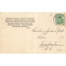 n°29096 - Fantaisie - Fillettes jouant avec un chat sur une balançoire