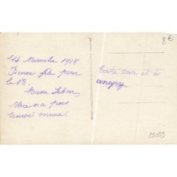 n°29099 - Chat - Ah ! qu'on est donc bien - Chat dans un pot rempli de fleurs