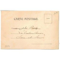 n°29154 - Carte en relief - Bonne Année - Grosse Mouche avec des trèfles