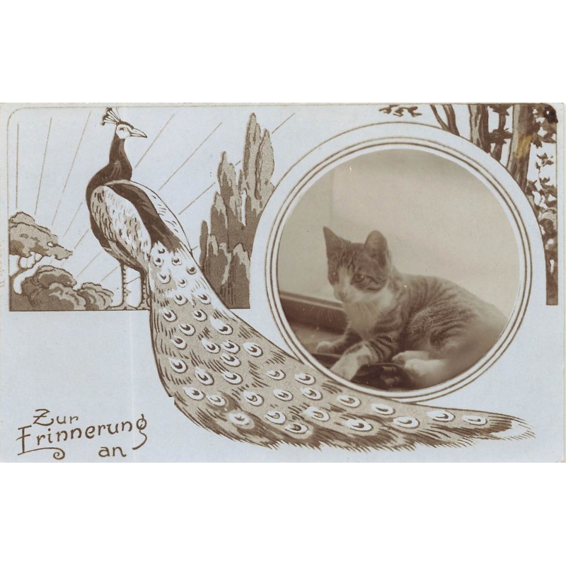 n°29198 - Animaux - Chat et un paon - Zur Erinnerung An - Art Nouveau