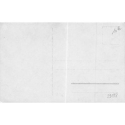 n°29198 - Animaux - Chat et un paon - Zur Erinnerung An - Art Nouveau