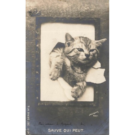n°29199 - Animaux - Chat - Sauve qui peut - Papier crevé