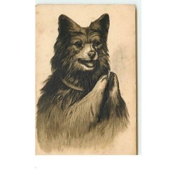 n°13583 - Carte Gaufrée -...